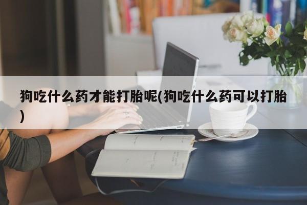 米非米索联系方式狗吃什么药才能打胎呢(狗吃什么药可以打胎)
