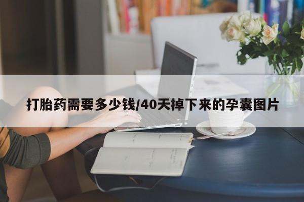 米非米索联系方式打胎药需要多少钱/40天掉下来的孕囊图片